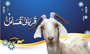 فہمِ قربانی کورس